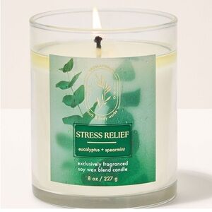 Bath & Body Works Eucalyptus Spearmint Candle